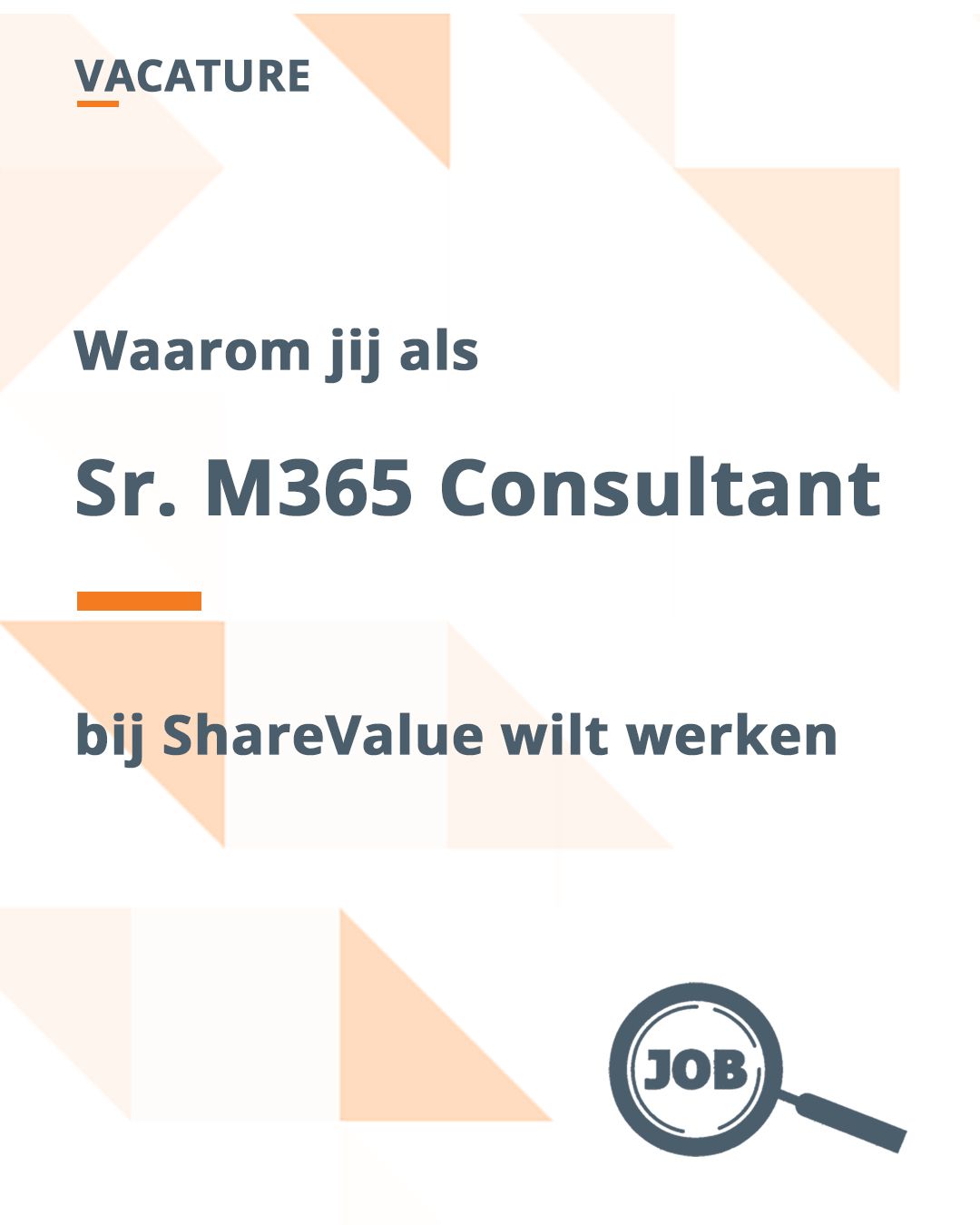 Werken bij ShareValue als Senior M365 Consultant
