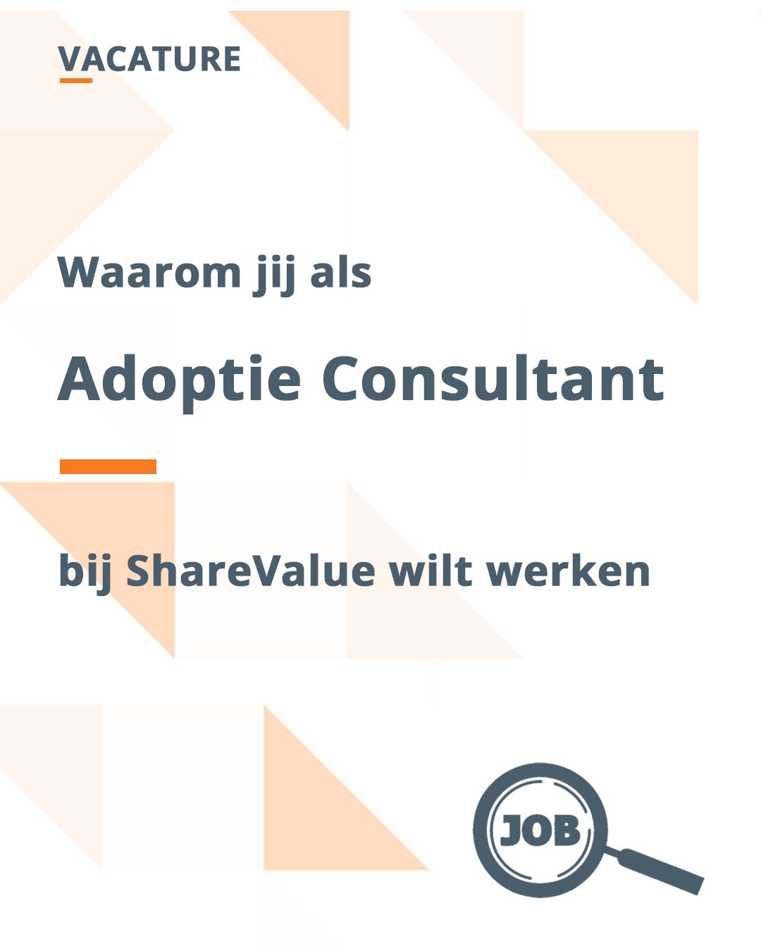 Vacature Adoptie Consultants