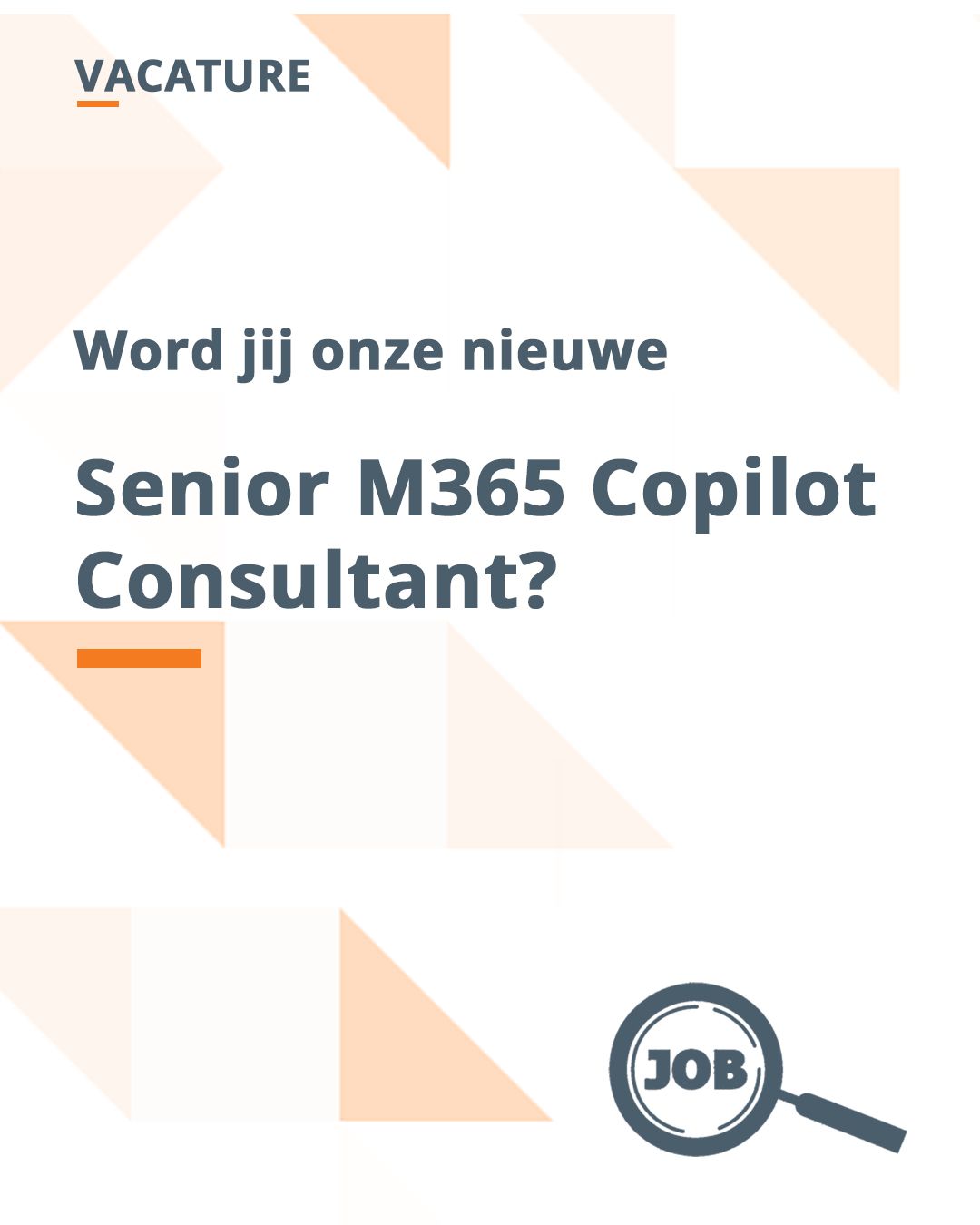 Vacature Senior M365 Copilot Consultant