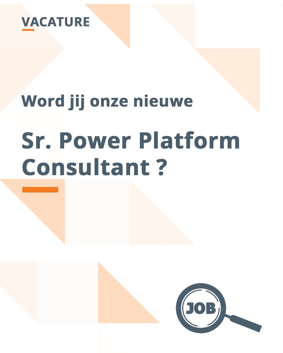 Vacature Senior Power Platform Consultant