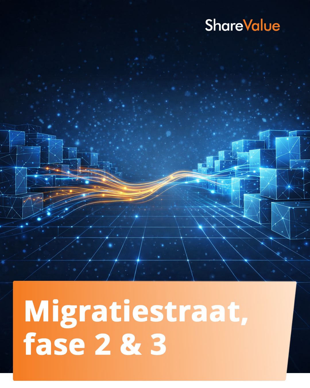 De ShareValue Migratiestraat