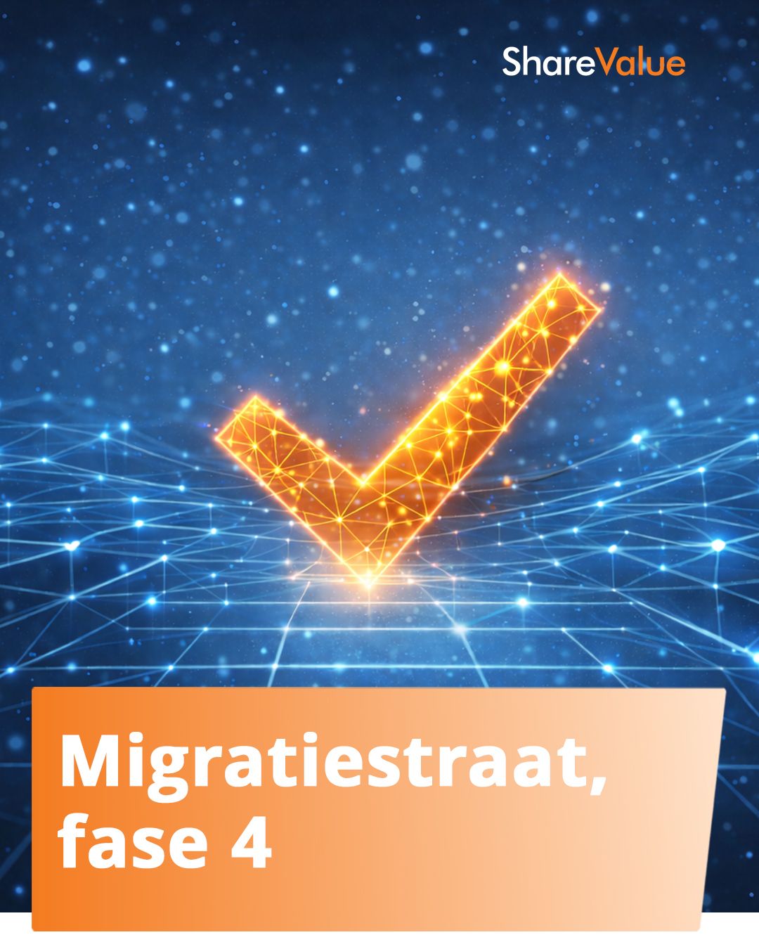 De ShareValue Migratiestraat